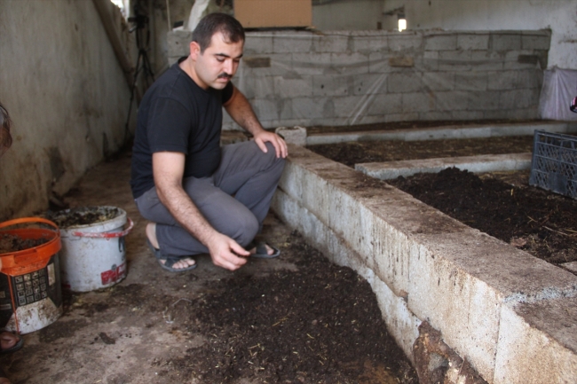 Hobi amaçlı başladığı solucan gübresi üretimi gelir kapısı oldu